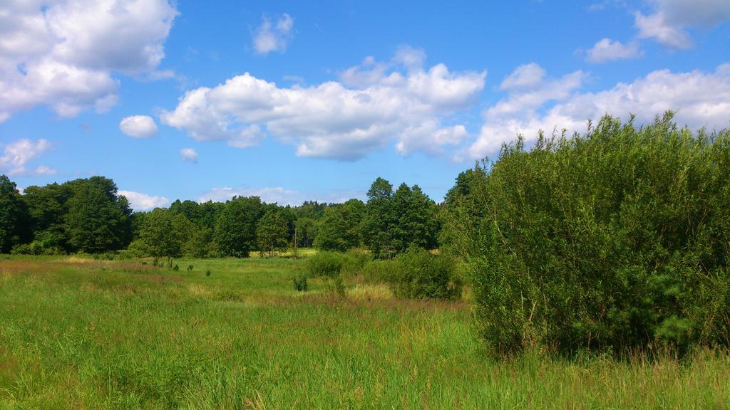 Dworek Swidwie, Gorny Apartament & Harcowka Tanowo Exteriör bild